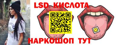 стаф Кинель