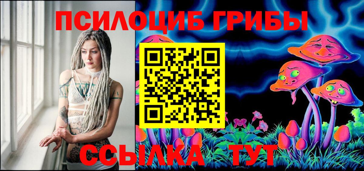 Галлюциногенные грибы прущие грибы  Вход с VPN  Кунгур 